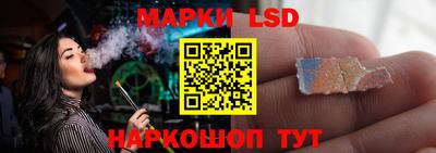 тгк Шебекино