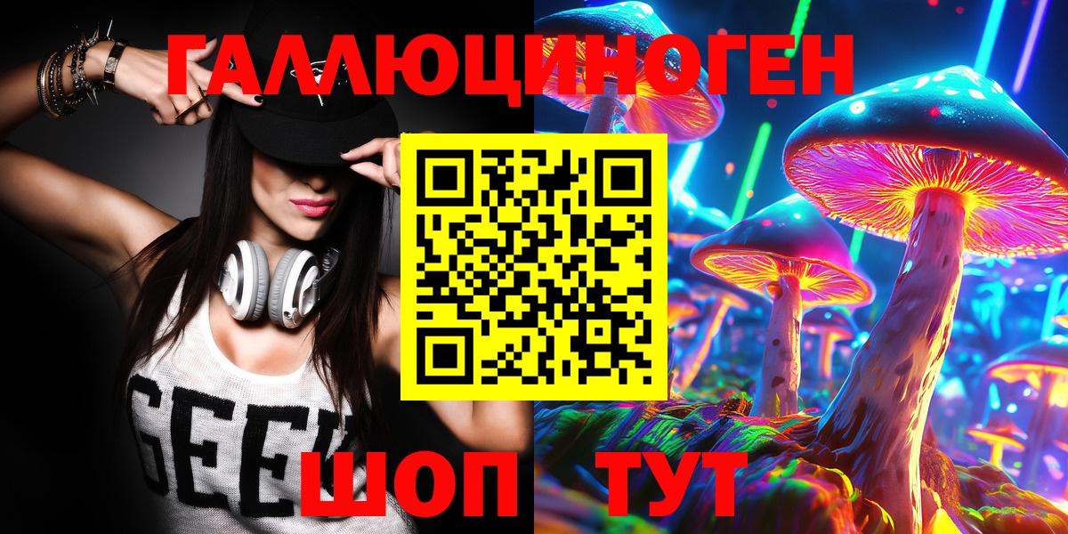 Галлюциногенные грибы Psilocybe Усть-Джегута