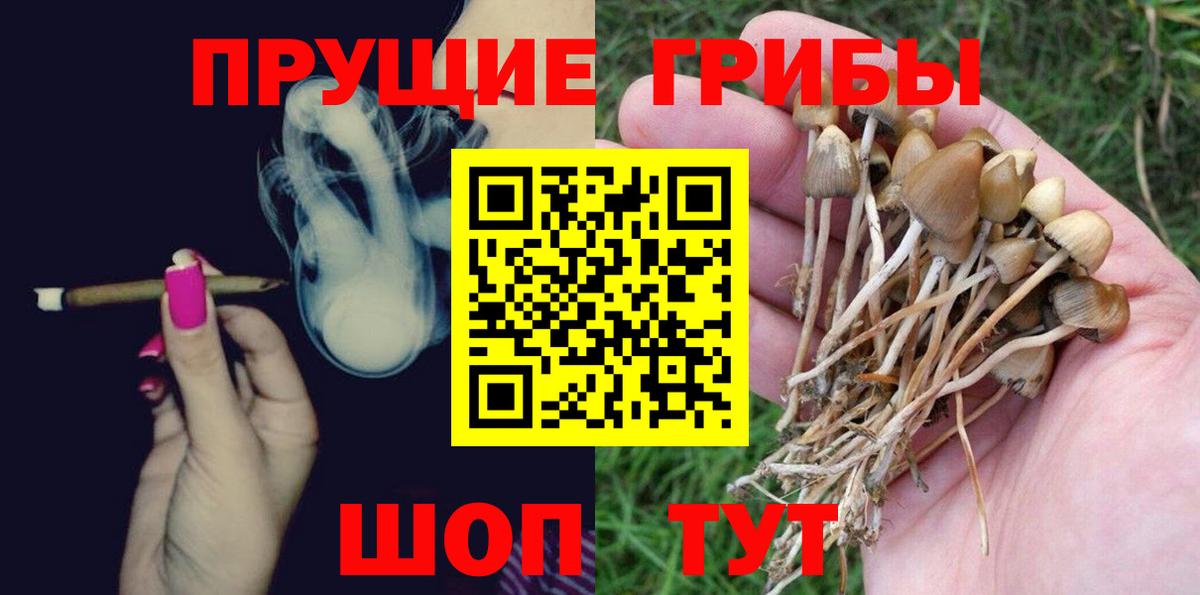 Усть-Джегута  Галлюциногенные грибы Psilocybe  купить  сайты  Галлюциногенные грибы прущие грибы  Вход с VPN 