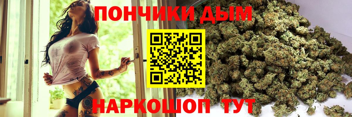Усть-Джегута  Конопля конопля  Шишки марихуана THC 21%  Бошки Шишки планчик  Каннабис план  Вход с VPN 